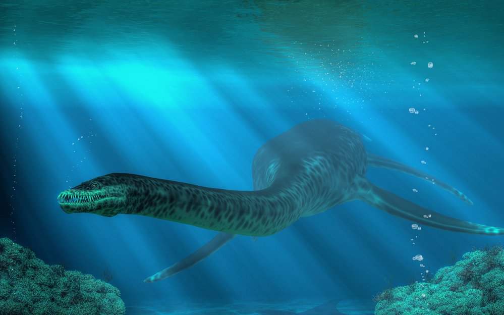 Pro plesiosaury, jako byl tento  Styxosaurus, je typický dlouhý krk a tlama plná zubů uzpůsobených lovu ryb