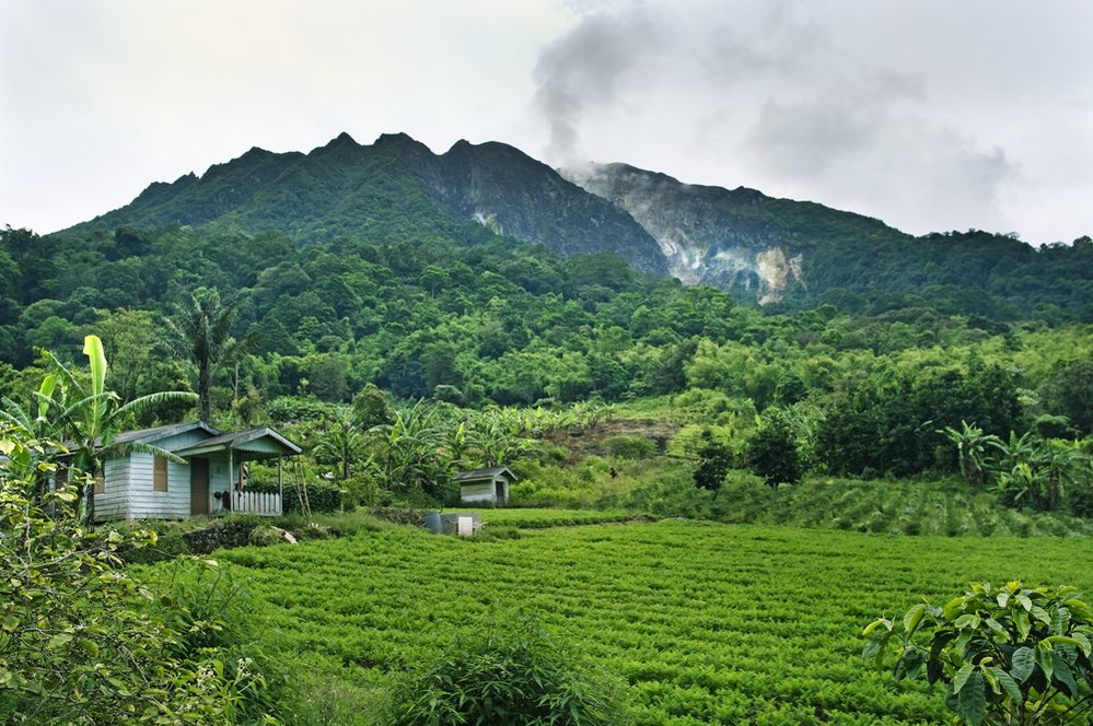 Sopka Sibayak je obklopena hustým tropickým pralesem