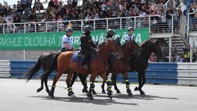 Drama na policejní přehlídce: Ženu se ztrátou paměti po pádu z koně hledala jezdecká jednotka