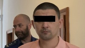 Návštěva se zvrhla: Mihail podle obžaloby pobodal muže, ten téměř vykrvácel