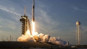 SpaceX slaví průlom. Starship poprvé vstoupila na oběžnou dráhu SpaceX slaví průlom. Starship poprvé vstoupila na oběžnou dráhu