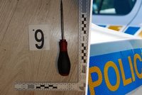 Žena z Náchodska napadla šroubovákem partnera! Policisté ji obvinili z pokusu o vraždu