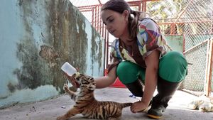 Strach o 1500 zvířat! Kvůli nedostatku elektřiny a vody zavřeli zoo v Havaně Strach o 1500 zvířat! Kvůli nedostatku elektřiny a vody zavřeli zoo v Havaně