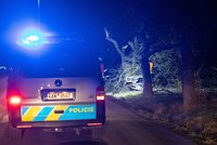 Tragédie na Berounsku: Řidič (†31) narazil s autem do stromu, nepřežil