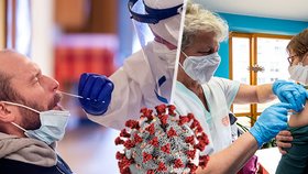 Koronavirus ONLINE: Omikron už zcela ovládl Česko. A prudký nárůst počtu nákaz ve školách