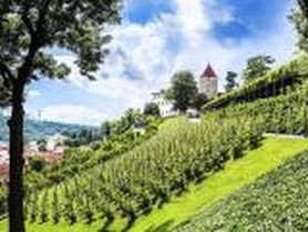 Tip na víkend: Vypravte se na putování pražskými vinicemi a poznejte nepoznané