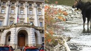 Tragédie ve Wyomingu: Při nehodě zemřeli dva Češi, třetí je zraněný Tragédie ve Wyomingu: Při nehodě zemřeli dva Češi, třetí je zraněný