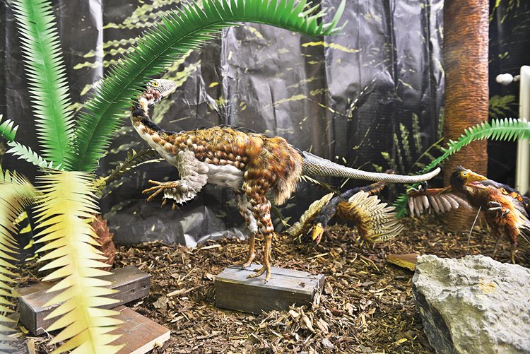 Model opeřeného dinosaura Compsognathus