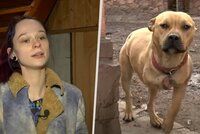 Anastázie (20) riskovala život a evakuovala mazlíčky z Irpině: Zachránila psy, želvu i chameleona