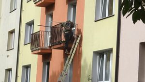 Unikátní fotky zloděje při akci: Sklízel marihuanu v bytě!