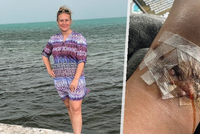 Heather Westová (35), která unikla ze zubů dvoumetrového žraloka: Přišla jsem si jako v Čelistech!