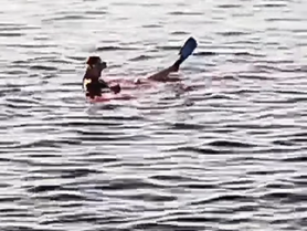 Útok žraloka v Egyptě! Žena bez ruky a nohy doplavala na břeh, ale ...