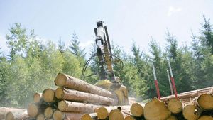 Uvidí investoři své peníze? Velký dluhopisář nesplácí, hru o miliardy má rozkrýt žalobce