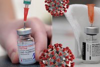 Koronavirus ONLINE: 438 případů za pátek v ČR. A zelená pro očkování dětí od šesti měsíců v USA
