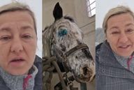 Vanda Hybnerová má nervy na drátkách: Její kůň přišel o oko!