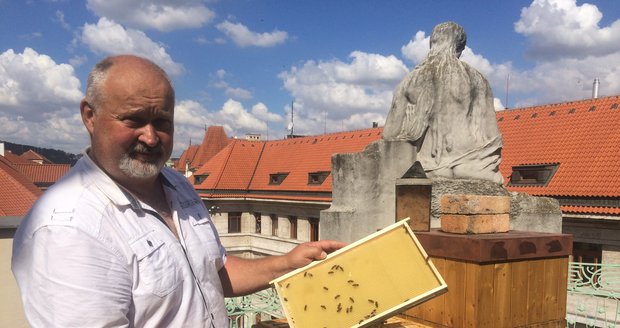 Pan Růžička se stará o několik včelínů po celé republice. Mimo jiné má na starosti i včely na střeše magistrátu hlavního města.