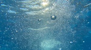 Vědci vyřešili 500 let starý paradox Leonarda da Vinciho. Proč bublinky ve vodě nestoupají přímo vzhůru?