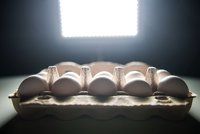 Pokračování vaječného skandálu: O látce, která otrávila vejce, vědí od začátku června