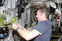 Kontrola vesmírné stanice ISS: Ruský kosmonaut Padalko drží rekord v čase stráveném v kosmu