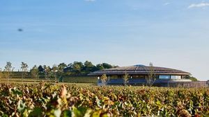 Víno zdraží. Může za to změna klimatu i francouzská vláda, která dotuje vytrhávání vinic Víno zdraží. Může za to změna klimatu i francouzská vláda, která dotuje vytrhávání vinic