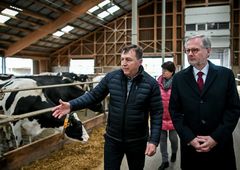 Výborný chválil zemědělce za klidný protest, Fiala navštívil kravín. EU nakonec sedlákům ustoupí