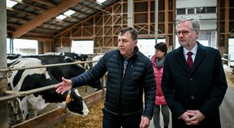 Výborný chválil zemědělce za klidný protest, Fiala navštívil kravín. EU nakonec sedlákům ustoupí