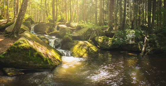 Nejjižnější vodopády v České republice jsou ukryty v malebné krajině u Vyššího Brodu