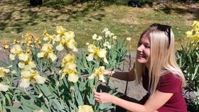 Stovky rozkvetlých kosatců: Arboretum v Brně je opět v obležení návštěvníků