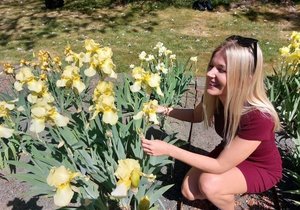 Výstava kvetoucích kosatců bude v botanické zahradě Mendelu k vidění do 30.května.