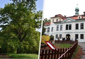 The summer oak at Veleslavín Castle became the tree of the year in Prague 6.  The city district strives to make the castle grounds accessible to the public.