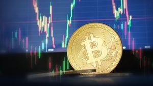 Zatímco centrální banky zpřísňují politiku, bitcoin láme rekordy Zatímco centrální banky zpřísňují politiku, bitcoin láme rekordy