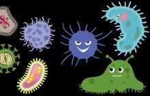 Když se řekne streptokok, většina z nás se domnívá, že jde o bakterii způsobující nemoc. Obvykle si vzpomeneme na angínu. Ne každý ale ví, že bakterie rodu Streptococus jsou vlastně běžnou součástí mikroflóry naší kůže a sliznic a že onemocnění způsobují jen některé patogenní druhy. Která onemocnění kromě angíny streptokoky vyvolávají? Jak jim předcházet a jak se léčí?