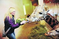 Křest žirafího samečka: Vincka pokřtila Lucka Borhyová