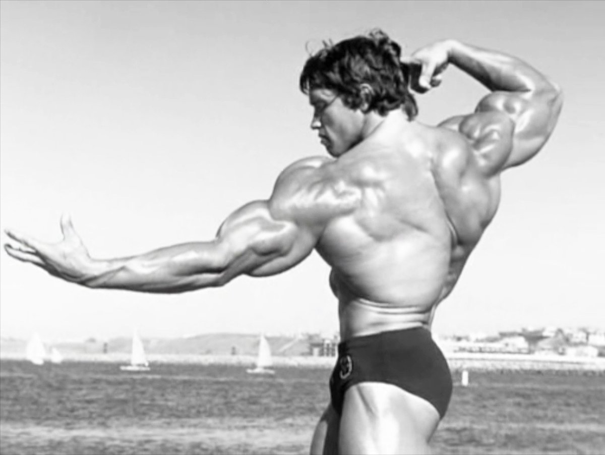 Tělo Arnolda Schwarzeneggera bylo zpočátku pro filmové agenty oříškem.