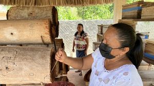 Znovuzrozené královny: Mayské ženy vracejí na Yucatán posvátné včely Znovuzrozené královny: Mayské ženy vracejí na Yucatán posvátné včely
