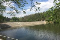Vyrážka i potíže s dýcháním: Voda v Hostivařské přehradě je plná sinic. Kde ještě není radno se koupat?