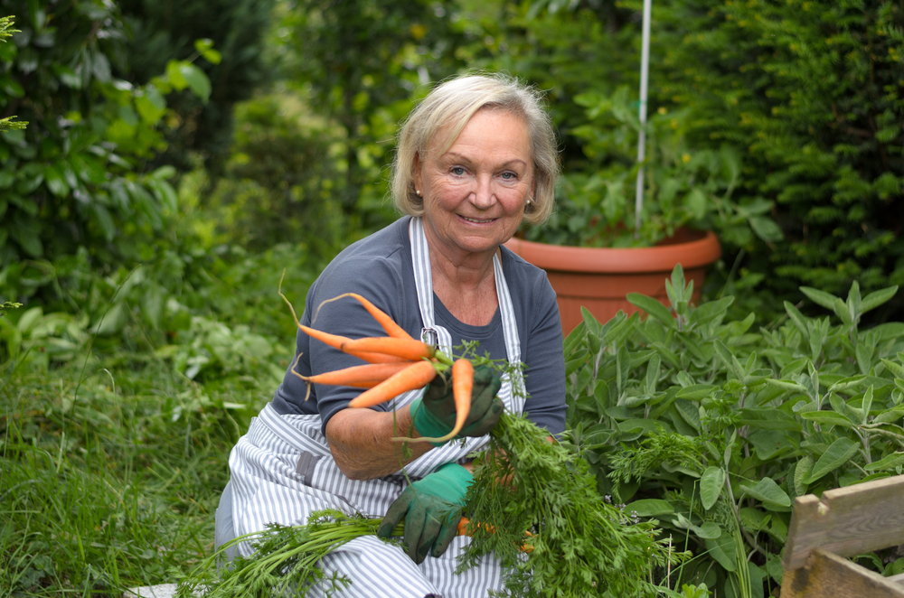 Chyběl vám aktivní odpočinek mezi záhony? Máme pro vás zahradnické tipy!