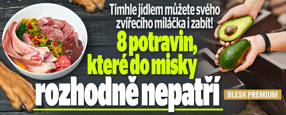 Chuť, která může psy zabít: Těchto 8 potravin do misky nepatří! Chuť, která může psy zabít: Těchto 8 potravin do misky nepatří!
