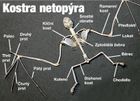Kliknutím zvětšete